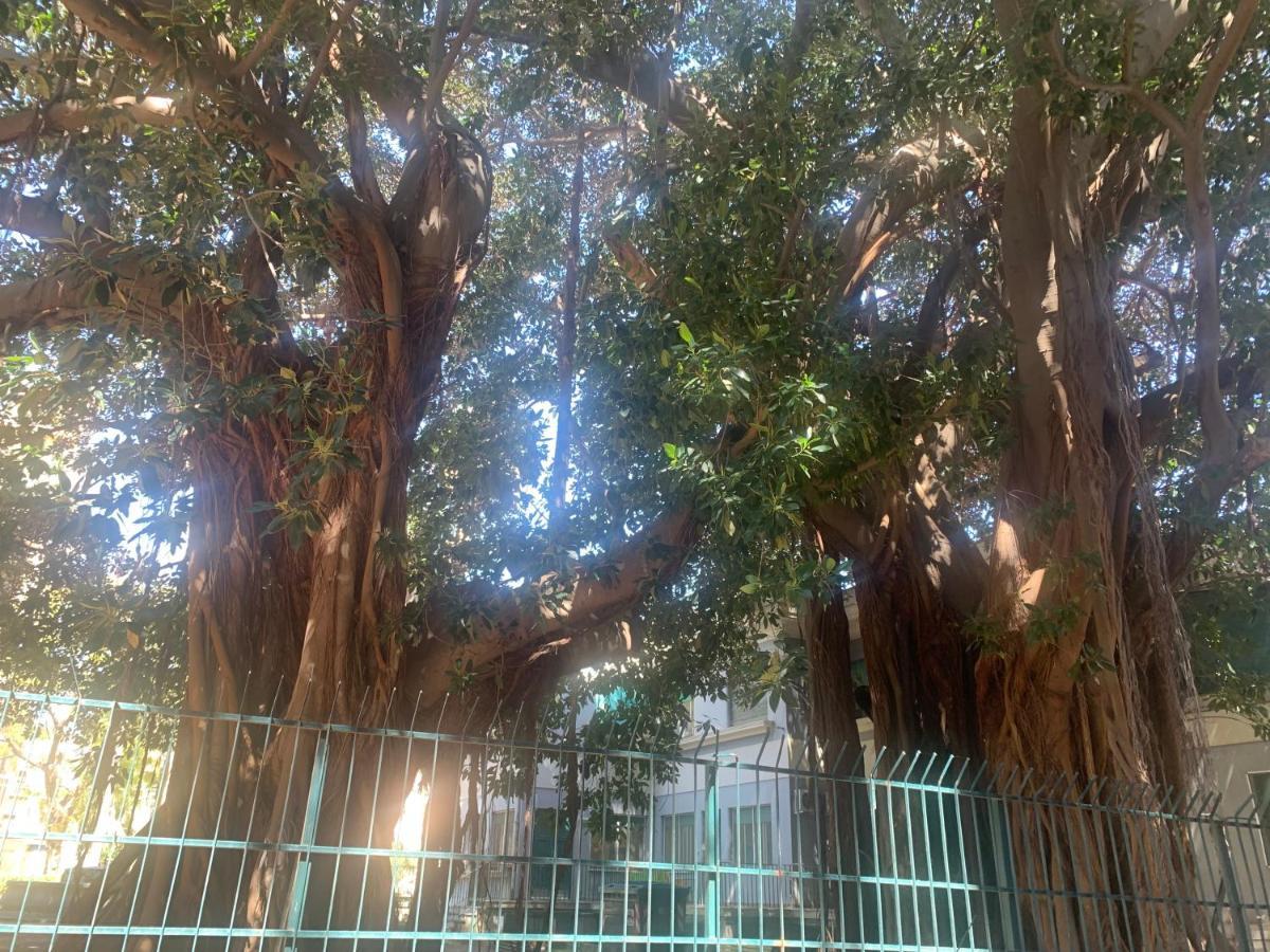 Casa Raccuglia Appartement *