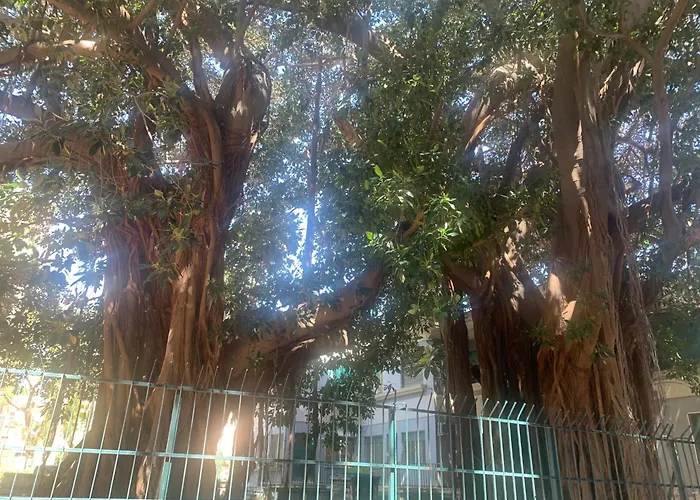 Casa Raccuglia